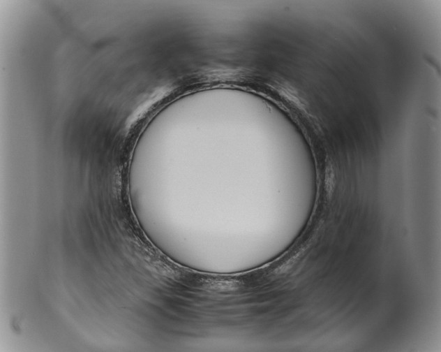 X0000099511309200806051137