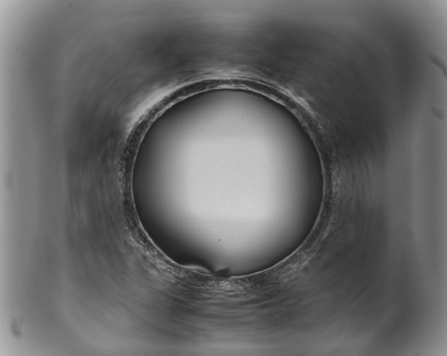 X0000099511311200806051137