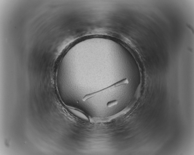 X0000099511312200806051137