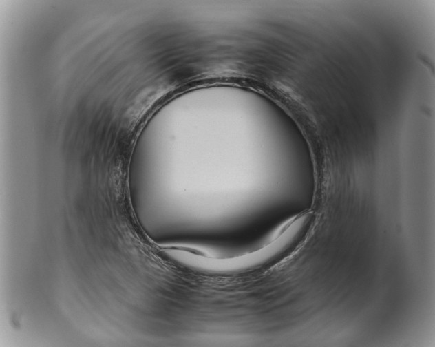 X0000099511313200806051137