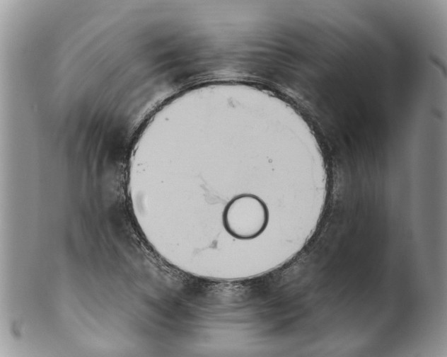 X0000099511314200806051137