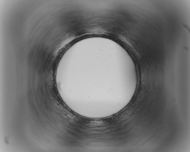 X0000099511315200806051137