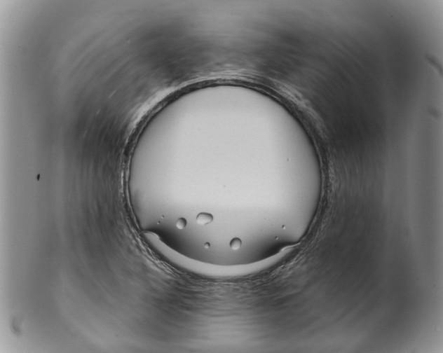 X0000099511316200806051137