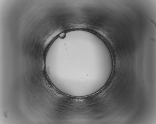 X0000099511317200806051137