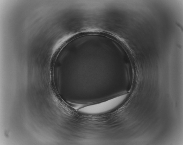 X0000099511319200806051137