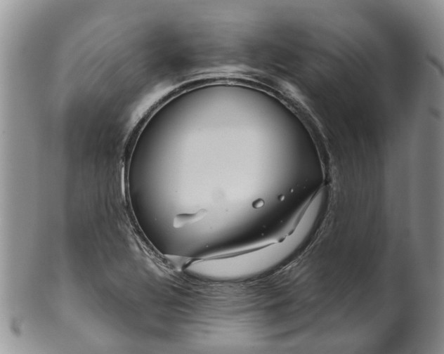 X0000099511320200806051137