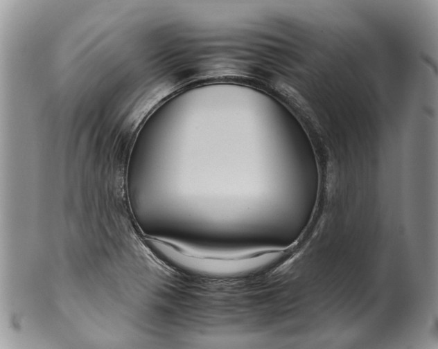 X0000099511321200806051137