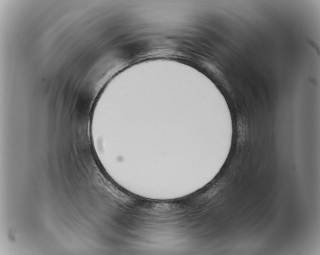 X0000099511322200806051137