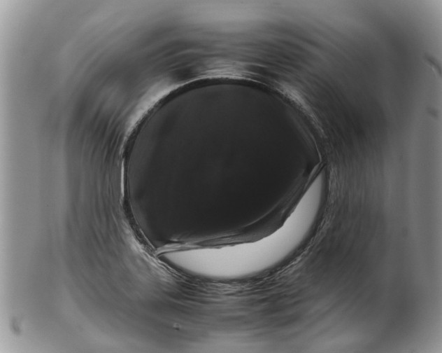 X0000099511323200806051137