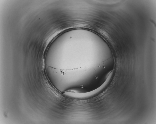 X0000099511324200806051137