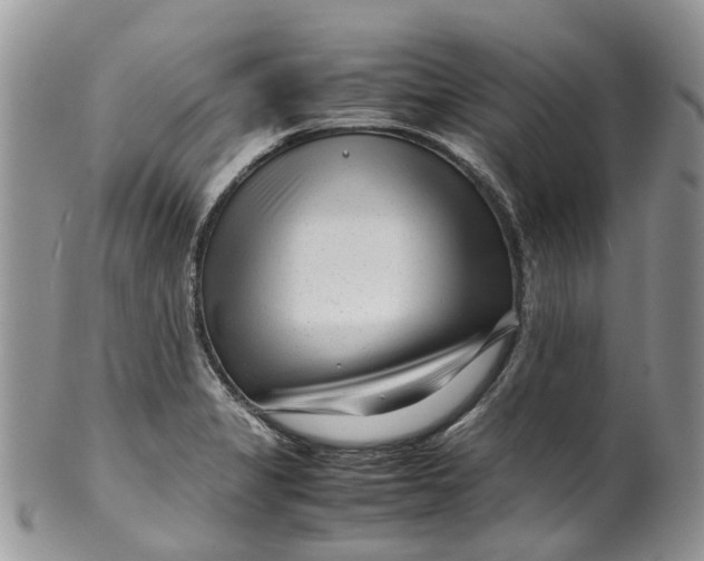 X0000099511325200806051137