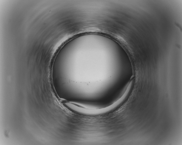 X0000099511326200806051137