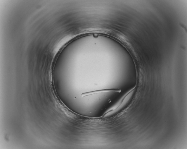 X0000099511328200806051137