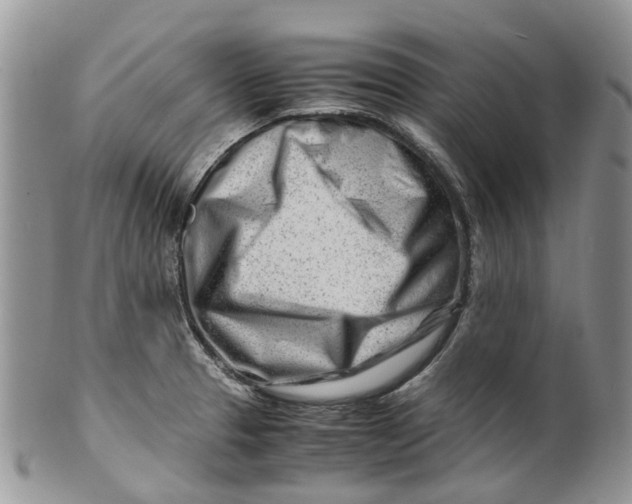 X0000099511329200806051138