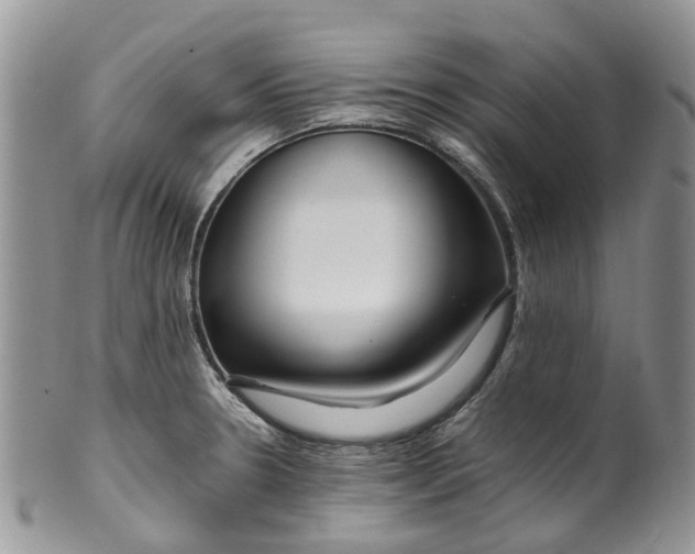 X0000099511330200806051138