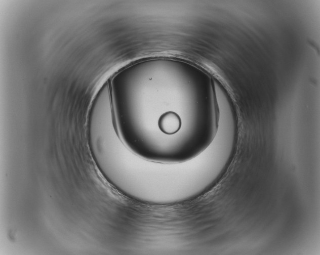 X0000099511332200806051138