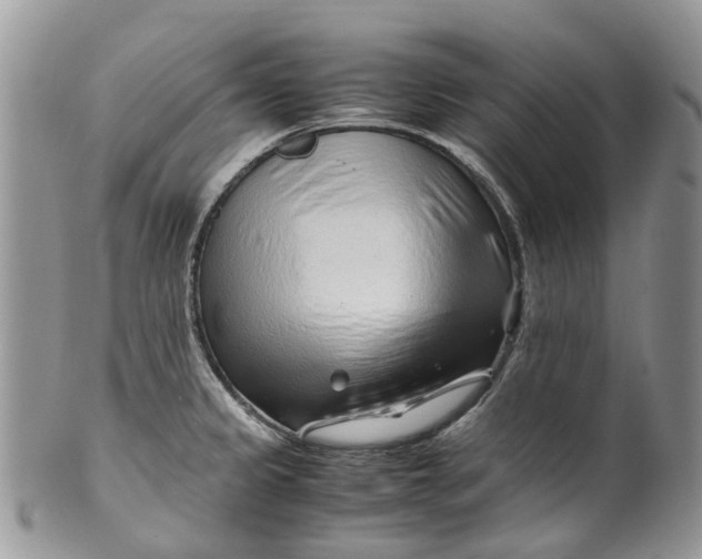 X0000099511333200806051138