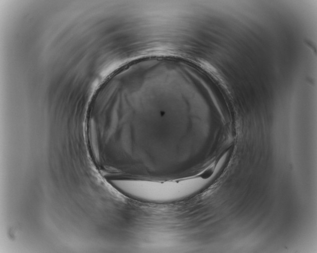 X0000099511334200806051138