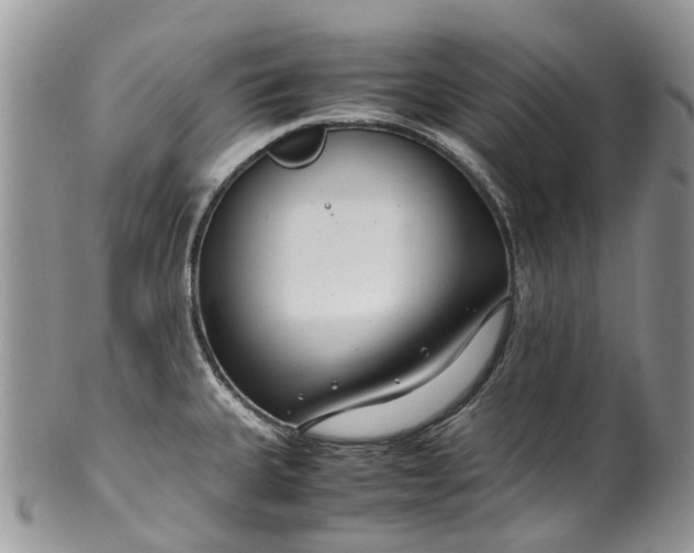 X0000099511335200806051138