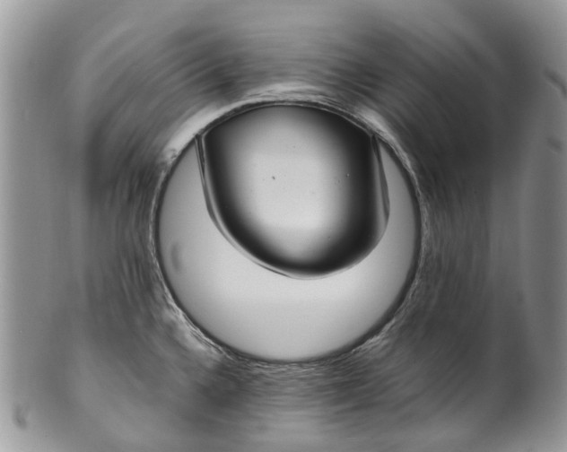 X0000099511336200806051138