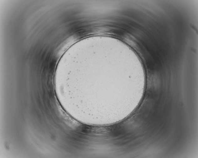 X0000099511338200806051138