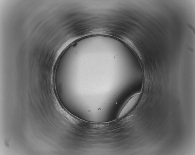 X0000099511339200806051138