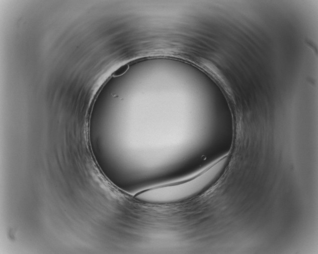 X0000099511340200806051138