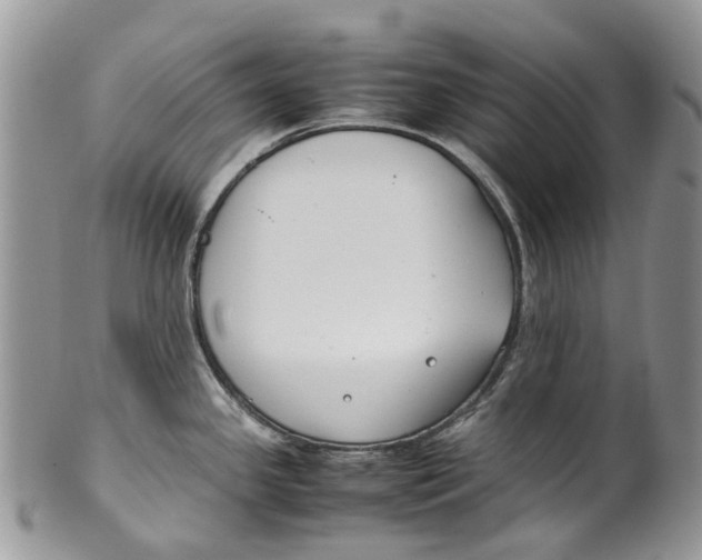 X0000099511341200806051138