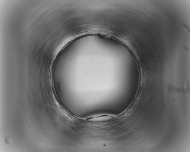 X0000099511342200806051138