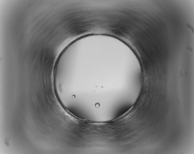 X0000099511343200806051138