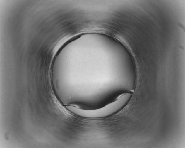 X0000099511344200806051138