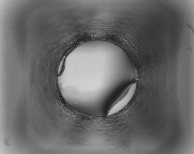 X0000099511345200806051137