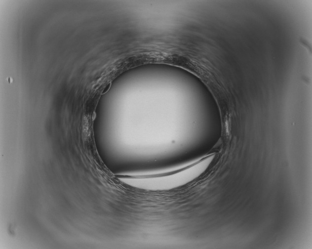 X0000099511347200806051137