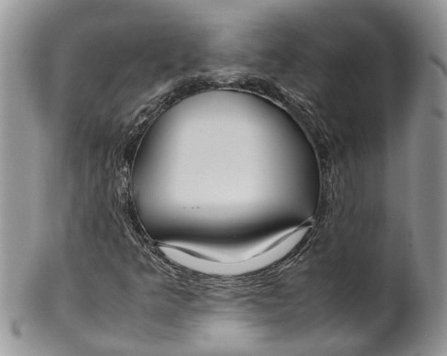 X0000099511349200806051137