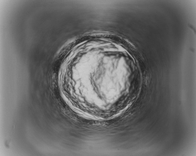 X0000099511351200806051137