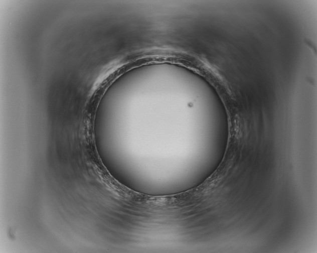 X0000099511352200806051137