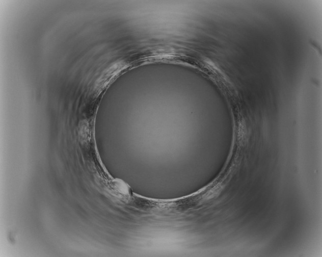 X0000099511353200806051137