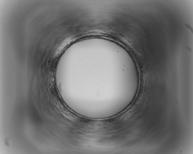 X0000099511355200806051137