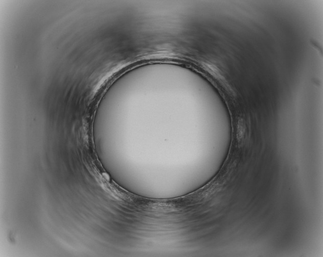 X0000099511356200806051137