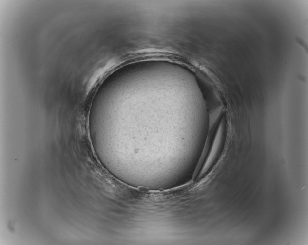 X0000099511357200806051137