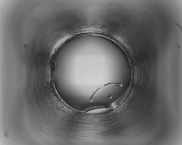 X0000099511358200806051137