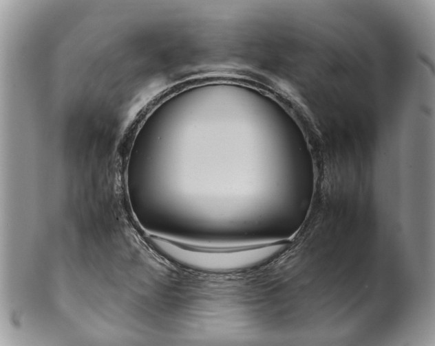 X0000099511360200806051137