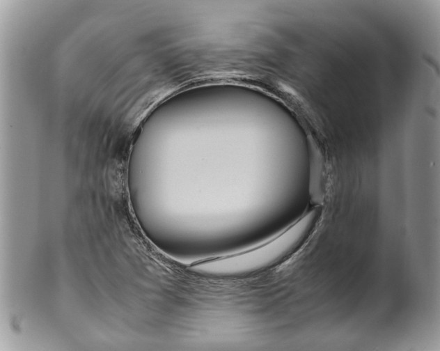 X0000099511361200806051137