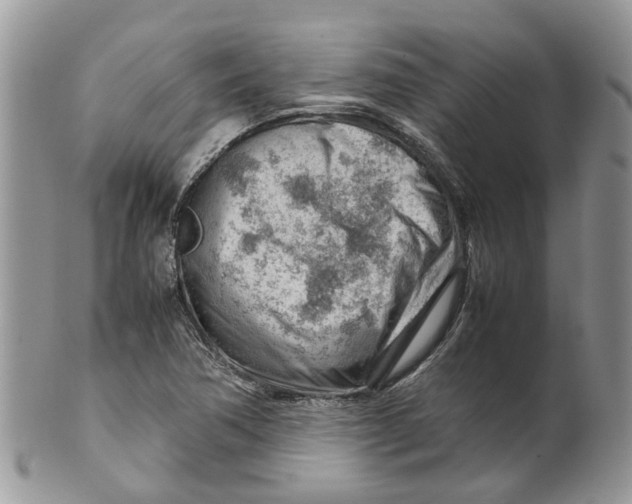 X0000099511362200806051137