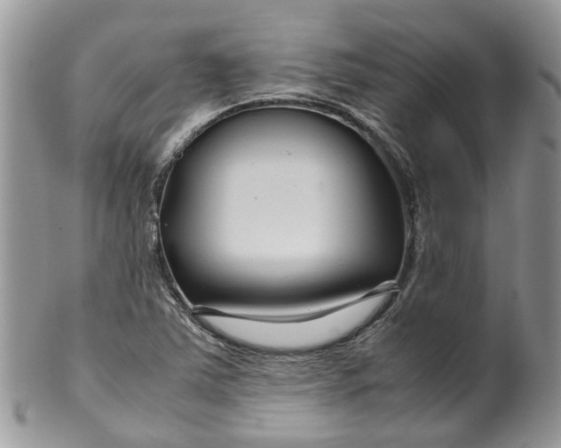 X0000099511363200806051137