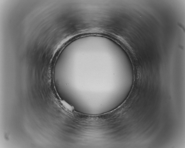 X0000099511364200806051137