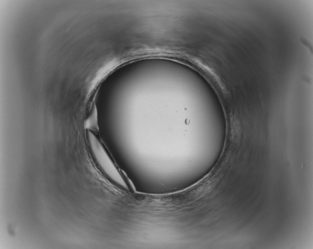 X0000099511365200806051137