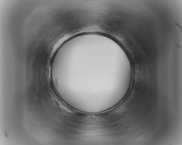 X0000099511366200806051137