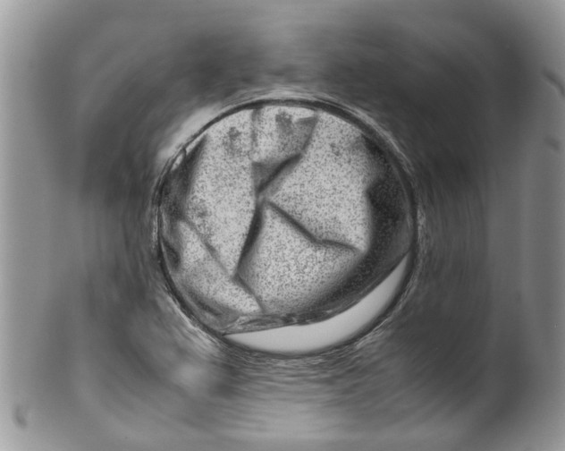 X0000099511367200806051137