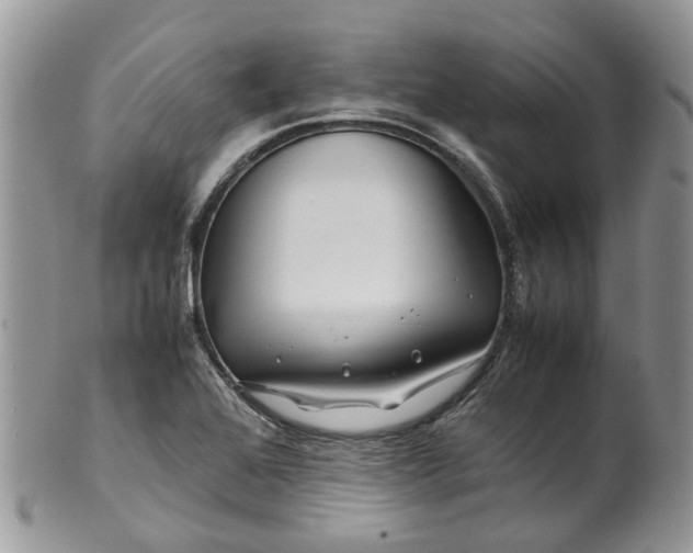 X0000099511368200806051137